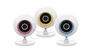2bb07f9e-92bc-4135-b440-846bafa254e7