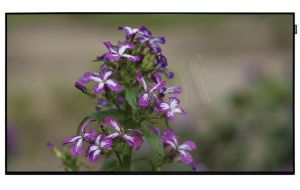 MONITOR SAMSUNG 55\ LH55DBEPLGC/EN