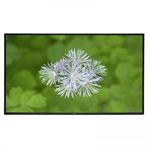 Monitor Samsung DM65E LED 65\ FHD D-LED BLU LH65DMEPLGC/EN czarny