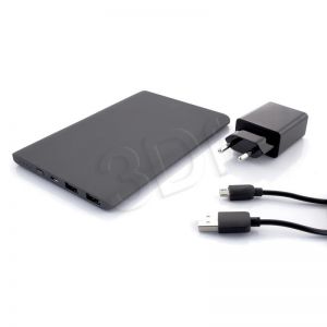 PowerNeed Powerbank (10000mAh) 2x USB grafitowy