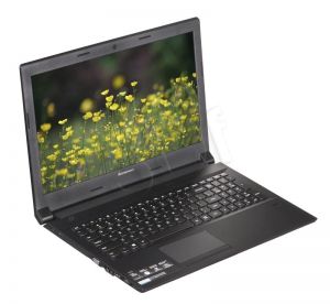 Lenovo B50-30 N2840 2GB 15,6\ HD 320GB Intel HD DOS Czarny 59-446289 2Y